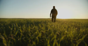 A farmer walking in a field at sunrise